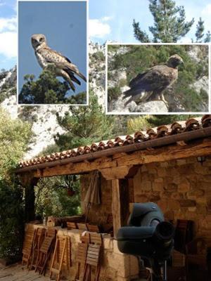 Posada Molino Del Canto Barriolacuesta Exteriér fotografie